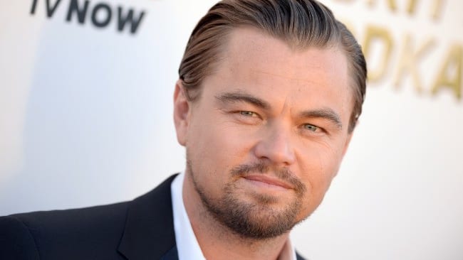 Fotografía que ilustra la noticia: DiCaprio entra en la sueca Elvy y amplía su cartera de inversiones en energía limpia con presencia en España