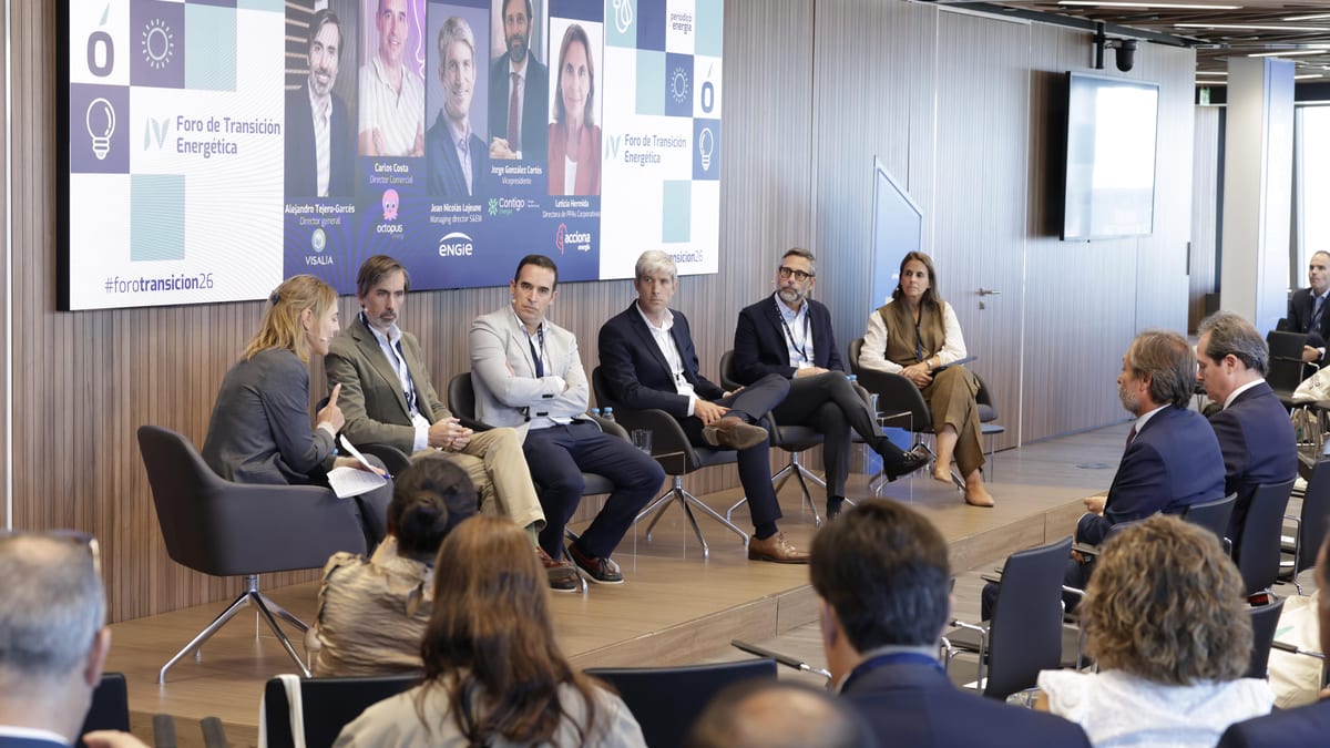 Fotografía que ilustra la noticia: El sector eléctrico busca cómo trasladar al consumidor un precio competitivo: del PPA a las tarifas inteligentes