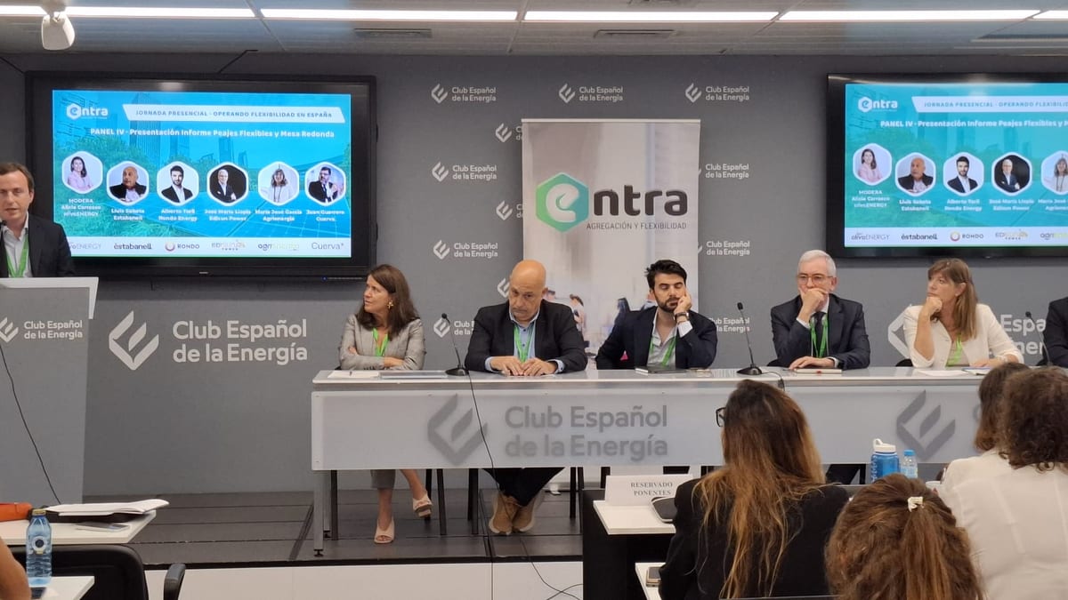 Fotografía que ilustra la noticia: ENTRA propone rebajar hasta un 50% el peaje de potencia para las conexiones flexibles y desatascar la red