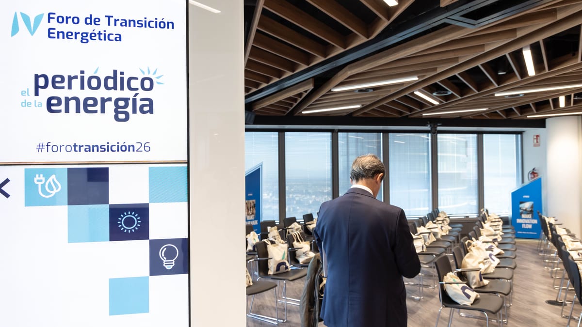 Fotografía que ilustra la noticia: Las redes, la demanda y la seguridad marcan la nueva fase de la transición energética en España